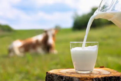Dia Mundial do Leite: mitos e verdades sobre o alimento mais consumido do mundo