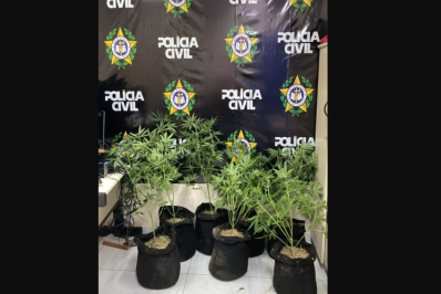 Polícia Civil prende homem por tráfico, arma e furto de energia