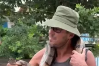 Jiboia é encontrada em rua de Búzios; morador leva cobra no pescoço