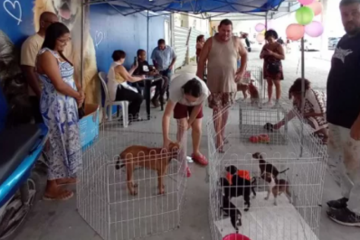 Secretaria de Saúde reabre cadastro para protetores de animais em São Pedro da Aldeia