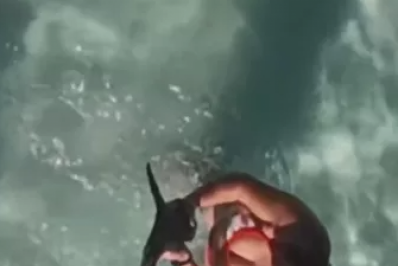 Mulher pega pinguim no colo em praia de Arraial do Cabo