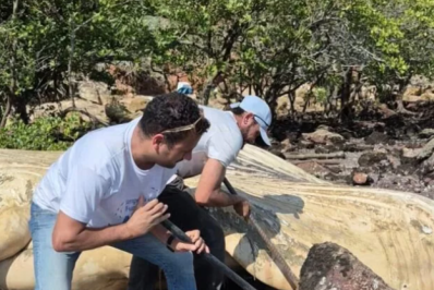 Carcaça de baleia-jubarte é removida do Mangue de Pedras, em Búzios