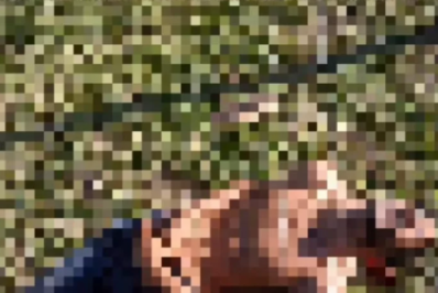 Homem é encontrado morto com marcas de tiros e agressões em Búzios