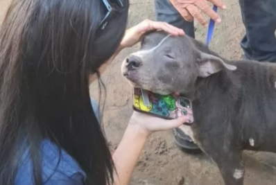 Cão em situação de abandono é resgatado no bairro Cajueiro, em Cabo Frio