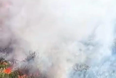 Incêndio atinge área de mata no distrito de Tamoios, em Cabo Frio
