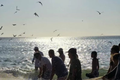 Arraial abre inscrições para programa que paga até R$ 500 a pescadores