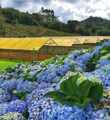 Nova Friburgo reúne guias de turismo do estado em encontro neste domingo