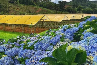 Nova Friburgo reúne guias de turismo do estado em encontro neste domingo