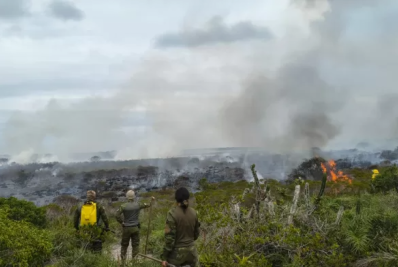 Incêndio atinge Restinga de Massambaba e ameaça área científica de Arraial 
