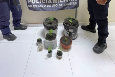 Denúncia de cárcere privado revela plantação de maconha em Araruama