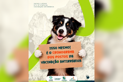 Guapimirim divulga novas etapas da vacinação antirrábica animal