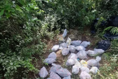 PM apreende mais de 1,5 mil buchas de maconha em São Pedro