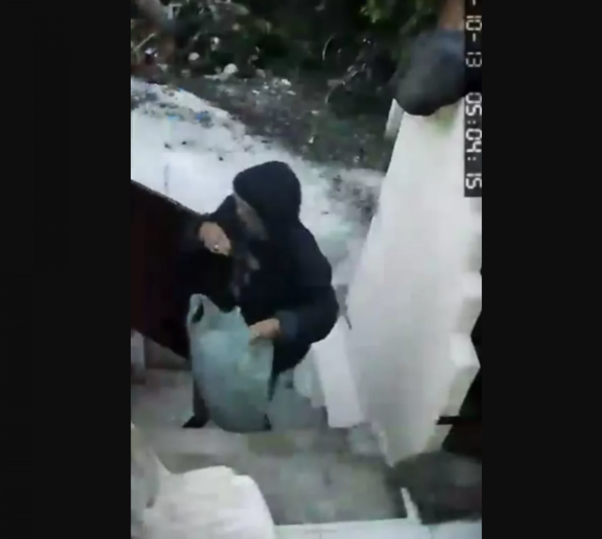 Mulher é filmada furtando orquídeas no bairro Cem Braças, em Búzios