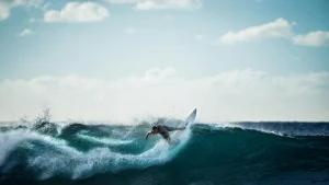 Como apostar em surf imagem