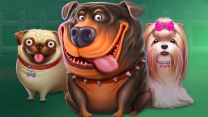 Aprenda a jogar The Dog House, o slot do cachorro